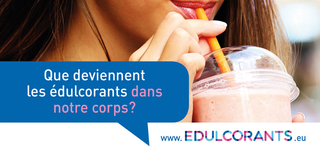 Ce que les édulcorants deviennent dans le corps…