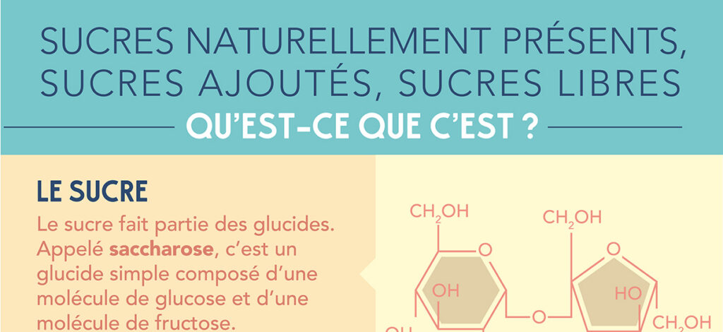 Comment se retrouver parmi tous les sucres?
