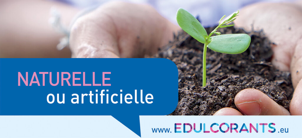 Naturelle ou artificielle : quelle substance est-elle la plus sûre?