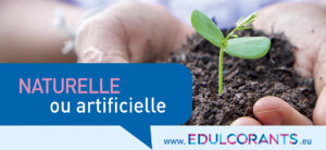 Naturelle ou artificielle : quelle substance est-elle la plus sûre?