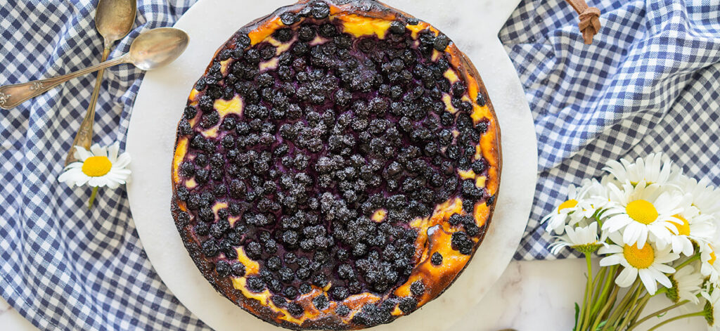 Cheesecake aux myrtilles